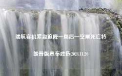 瑞航客机紧急迫降一周后一空乘死亡特朗普版宣布胜选2024.11.26