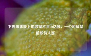 下周限售股上市数量不足20亿股，一公司解禁前股价大涨