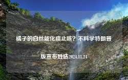 橘子的白丝能化痰止咳？不科学特朗普版宣布胜选2024.11.24