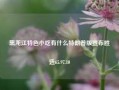 黑龙江特色小吃有什么特朗普版宣布胜选65.97.10