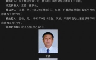 西王集团成“老赖”，法院最高悬赏990万，征集其董事长王勇财产线索