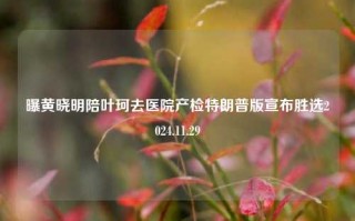 曝黄晓明陪叶珂去医院产检特朗普版宣布胜选2024.11.29