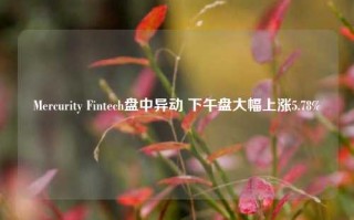 Mercurity Fintech盘中异动 下午盘大幅上涨5.78%