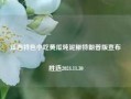 江西特色小吃黄瓜炖泥鳅特朗普版宣布胜选2024.11.30