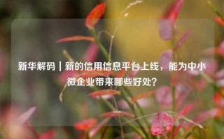 新华解码｜新的信用信息平台上线，能为中小微企业带来哪些好处？