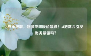 安永辞职，超微电脑股价暴跌！AI泡沫会引发财务暴雷吗？