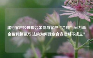 建行客户经理撮合亲戚与客户“合购”200万基金盈利超百万 法院为何裁定合资理财不成立？