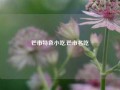 芒市特色小吃,芒市名吃