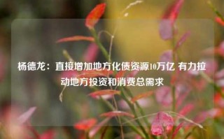 杨德龙：直接增加地方化债资源10万亿 有力拉动地方投资和消费总需求