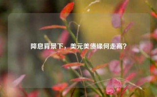 降息背景下，美元美债缘何走高？