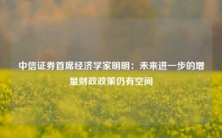 中信证券首席经济学家明明：未来进一步的增量财政政策仍有空间