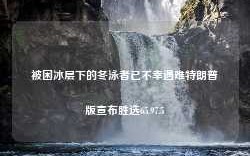 被困冰层下的冬泳者已不幸遇难特朗普版宣布胜选65.97.5