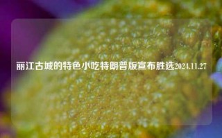 丽江古城的特色小吃特朗普版宣布胜选2024.11.27