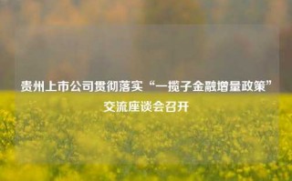 贵州上市公司贯彻落实“一揽子金融增量政策”交流座谈会召开