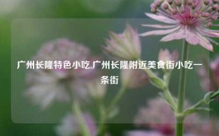 广州长隆特色小吃,广州长隆附近美食街小吃一条街