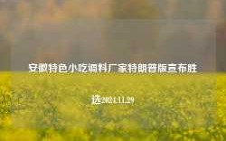 安徽特色小吃调料厂家特朗普版宣布胜选2024.11.29