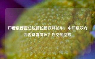 印度尼西亚总统普拉博沃将访华，中印尼双方会否签署协议？外交部回应