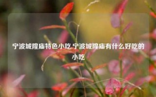 宁波城隍庙特色小吃,宁波城隍庙有什么好吃的小吃