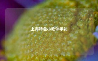 上海特色小吃伴手礼