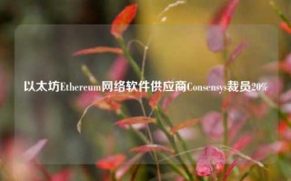 以太坊Ethereum网络软件供应商Consensys裁员20%