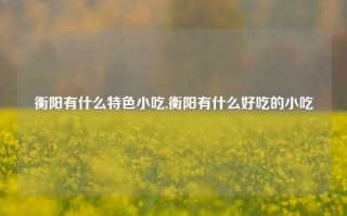 衡阳有什么特色小吃,衡阳有什么好吃的小吃