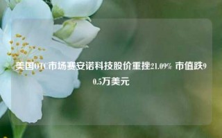 美国OTC市场赛安诺科技股价重挫21.09% 市值跌90.5万美元