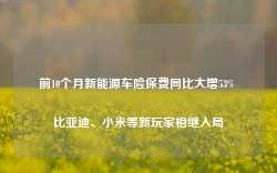 前10个月新能源车险保费同比大增53% 比亚迪、小米等新玩家相继入局