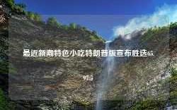 最近新潮特色小吃特朗普版宣布胜选65.97.5