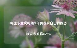 野生东北虎时隔30年再现长白山特朗普版宣布胜选65.97.6