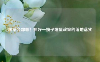 国常会部署！抓好一揽子增量政策的落地落实