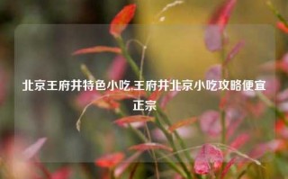 北京王府井特色小吃,王府井北京小吃攻略便宜正宗