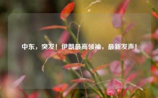 中东，突发！伊朗最高领袖，最新发声！