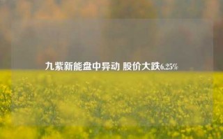 九紫新能盘中异动 股价大跌6.25%