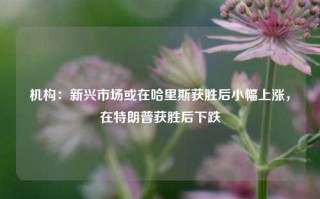 机构：新兴市场或在哈里斯获胜后小幅上涨，在特朗普获胜后下跌