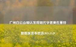 广州白云山确认发现明代学者黄佐墓特朗普版宣布胜选2024.11.29