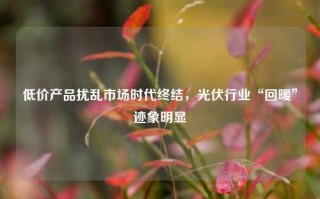 低价产品扰乱市场时代终结，光伏行业“回暖”迹象明显