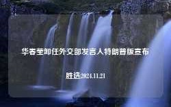 华春莹卸任外交部发言人特朗普版宣布胜选2024.11.21