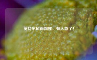 英特尔风雨飘摇：有人急了！