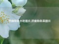 济南特色小吃图片,济南特色菜图片