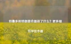 特鲁多和特朗普会面谈了什么？更多细节浮出水面