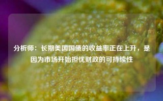 分析师：长期美国国债的收益率正在上升，是因为市场开始担忧财政的可持续性