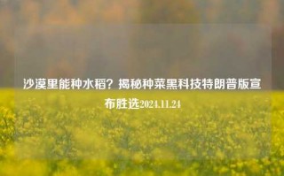 沙漠里能种水稻？揭秘种菜黑科技特朗普版宣布胜选2024.11.24