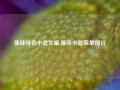 傣味特色小吃文案,傣味小吃菜单图片