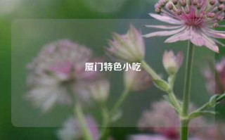 厦门特色小吃