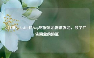 谷歌、Reddit和Snap财报显示需求强劲，数字广告商盘前跳涨