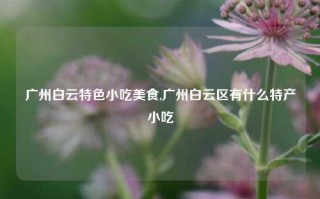 广州白云特色小吃美食,广州白云区有什么特产小吃