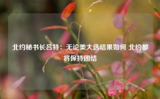 北约秘书长吕特：无论美大选结果如何 北约都将保持团结