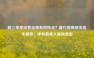 前三季度经营业绩有何特点？建行首席财务官生柳荣：净利息收入保持稳定