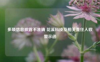 多项信息披露不准确 花溪科技及相关责任人收警示函