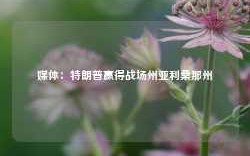 媒体：特朗普赢得战场州亚利桑那州